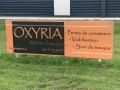 Panneau pub oxyria